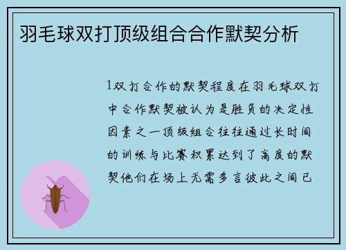 羽毛球双打顶级组合合作默契分析
